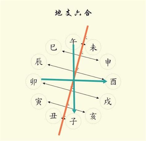 巳寅|十二地支解析：寅 寅与其他十二地支的关系